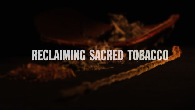 Reclaiming Sacred Tobacco