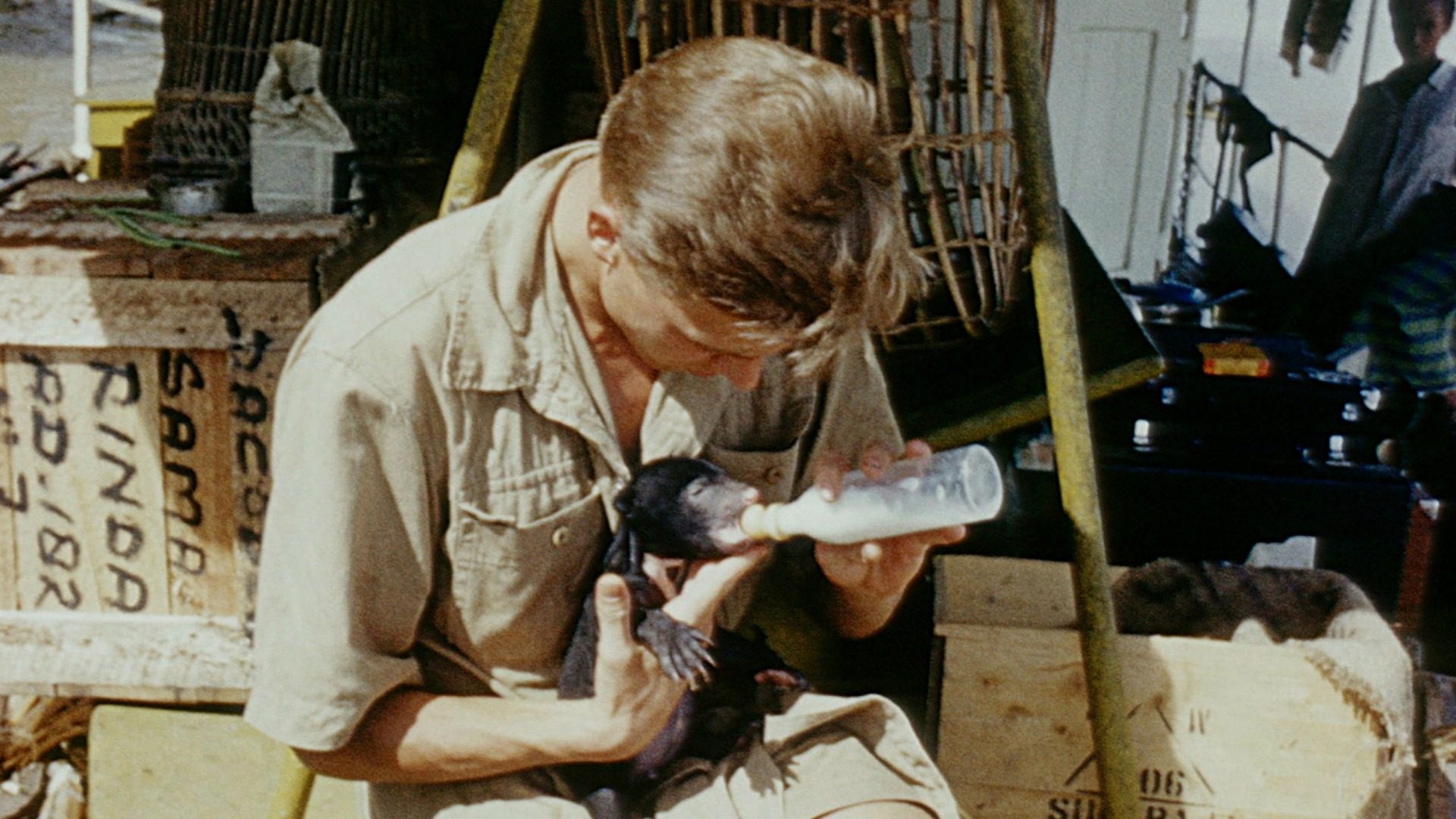 David Attenborough