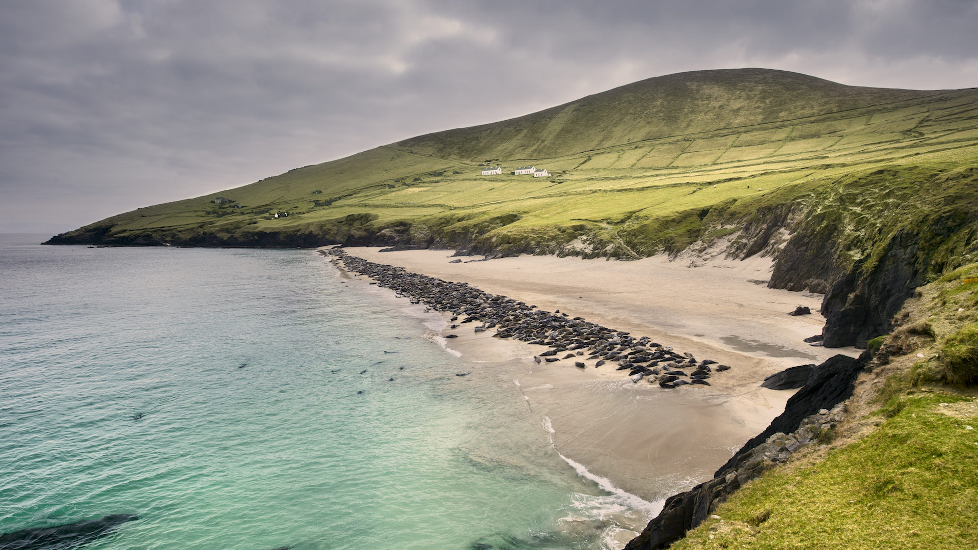 Ireland's Wild Coast