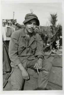 Stephen H. Warner Collection