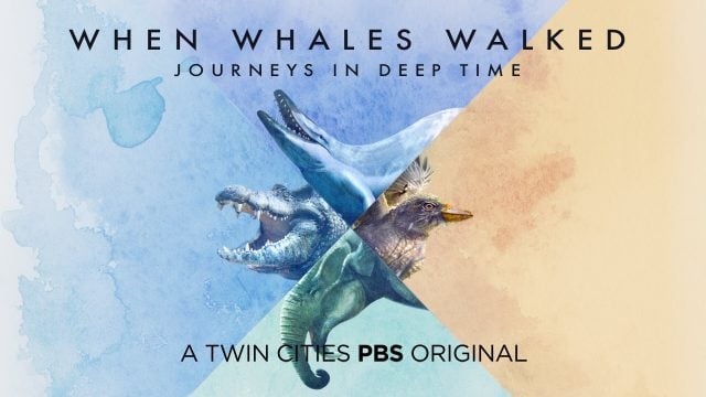 When Whales Walked