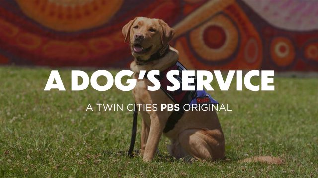 A Dog's Service