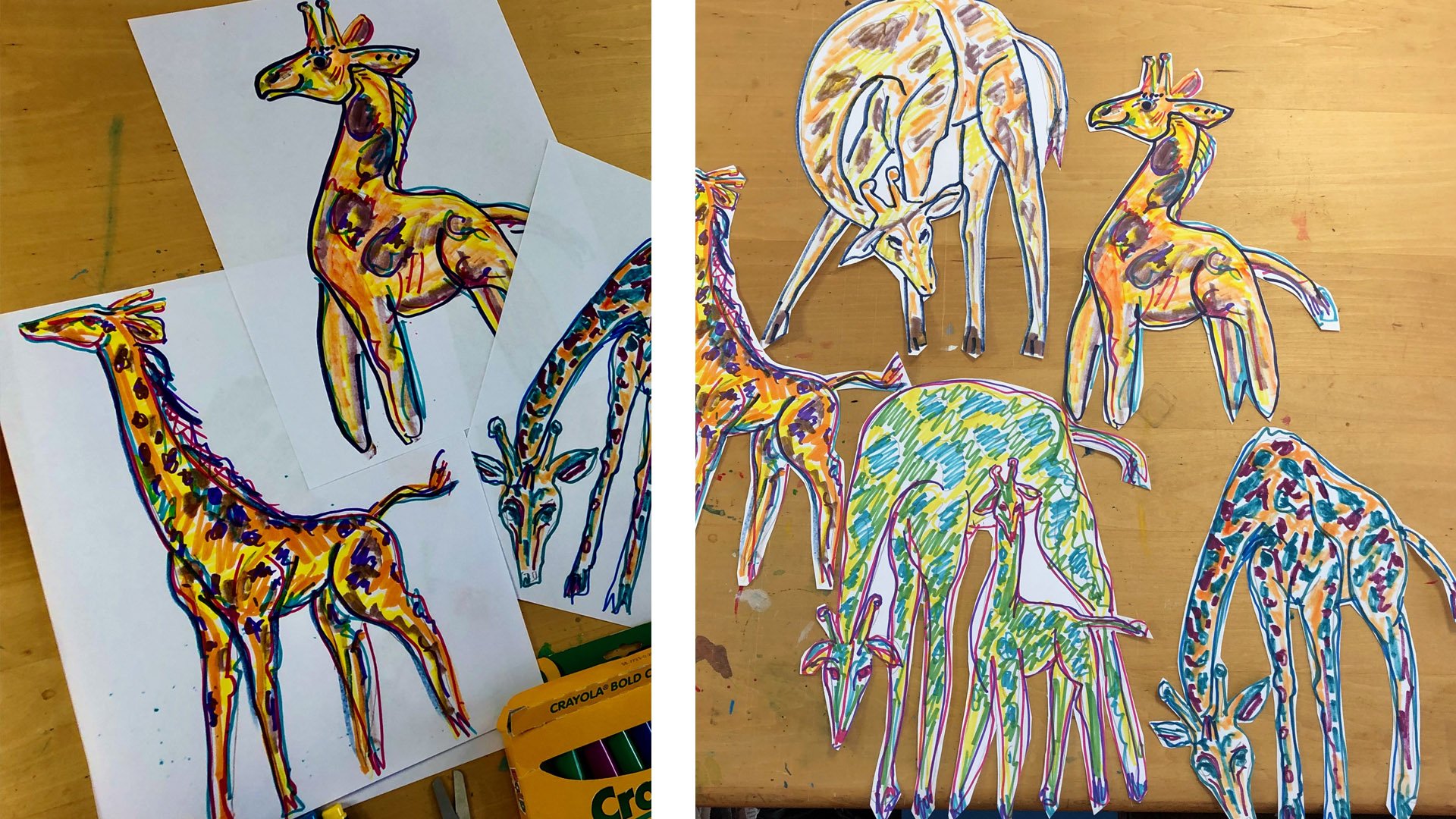 Cut out animal drawings