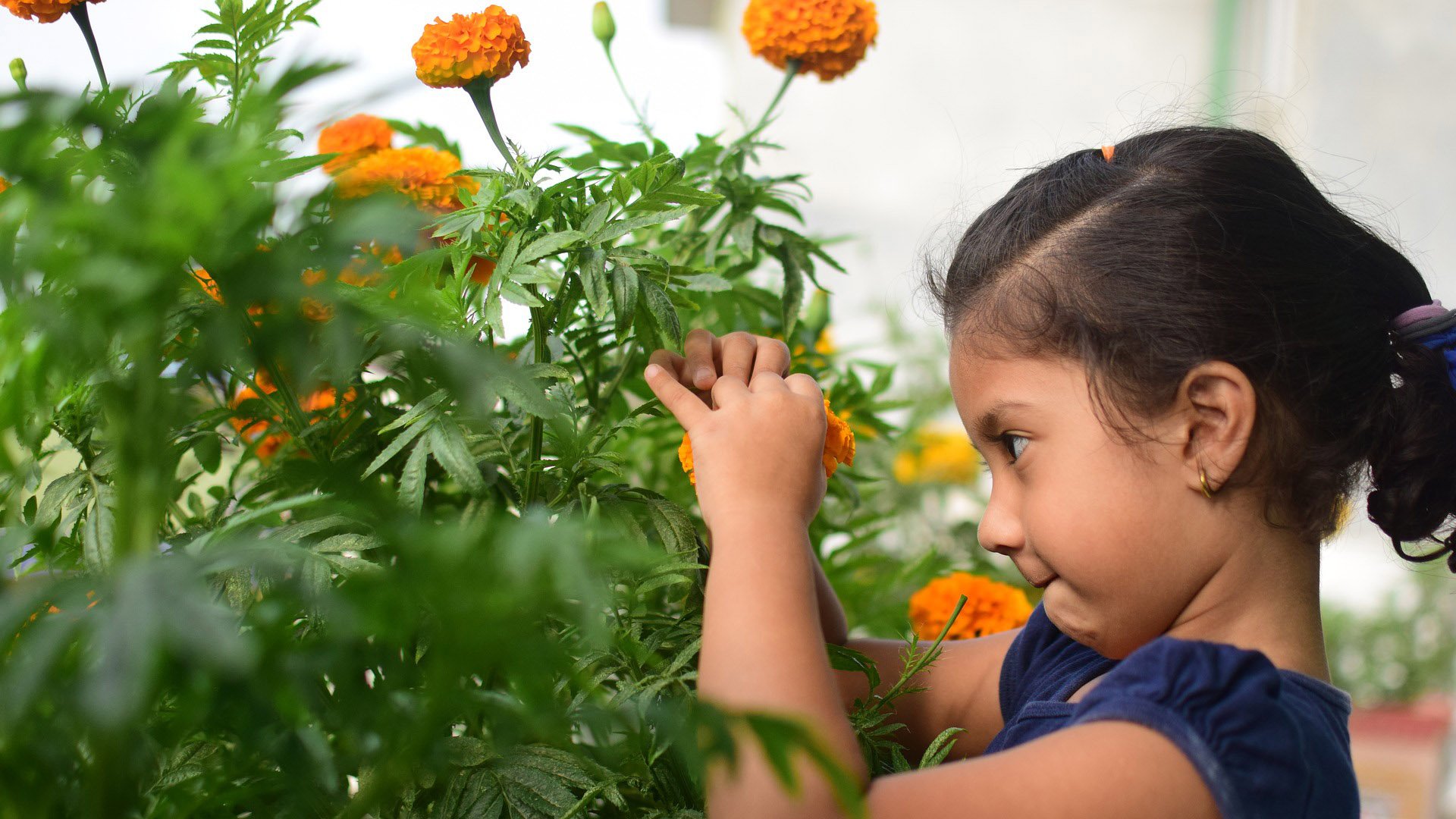 Girl with marigolds