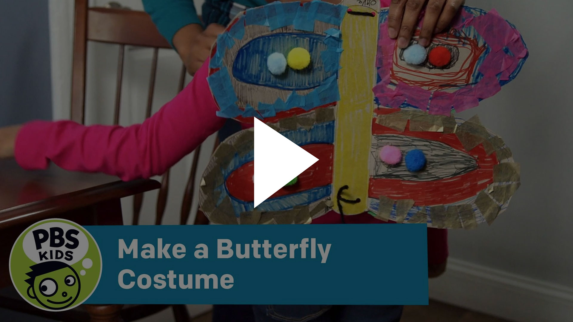 Butterfly Costume