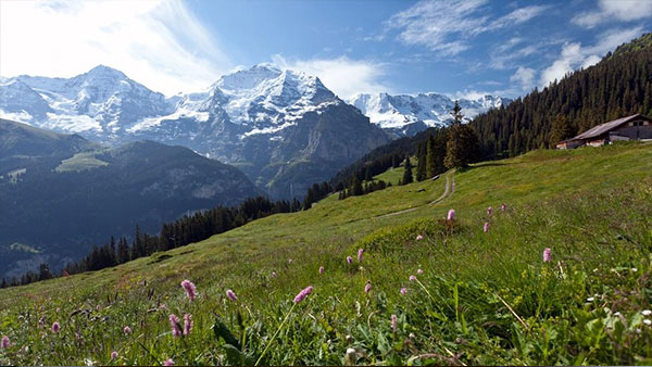 Rick Steves' Best of the Alps