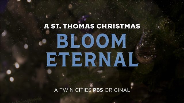 A St. Thomas Christmas: Bloom Eternal