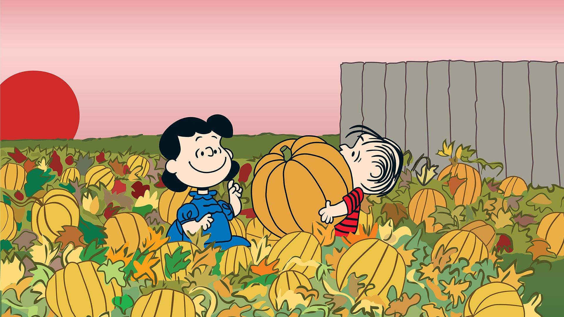 It's The Great Pumpkin, Charlie Brown Twin Cities PBS