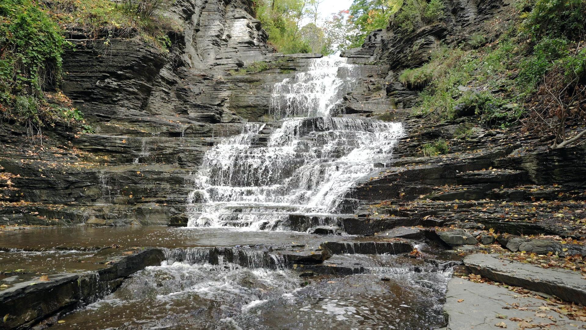 photo of a stream