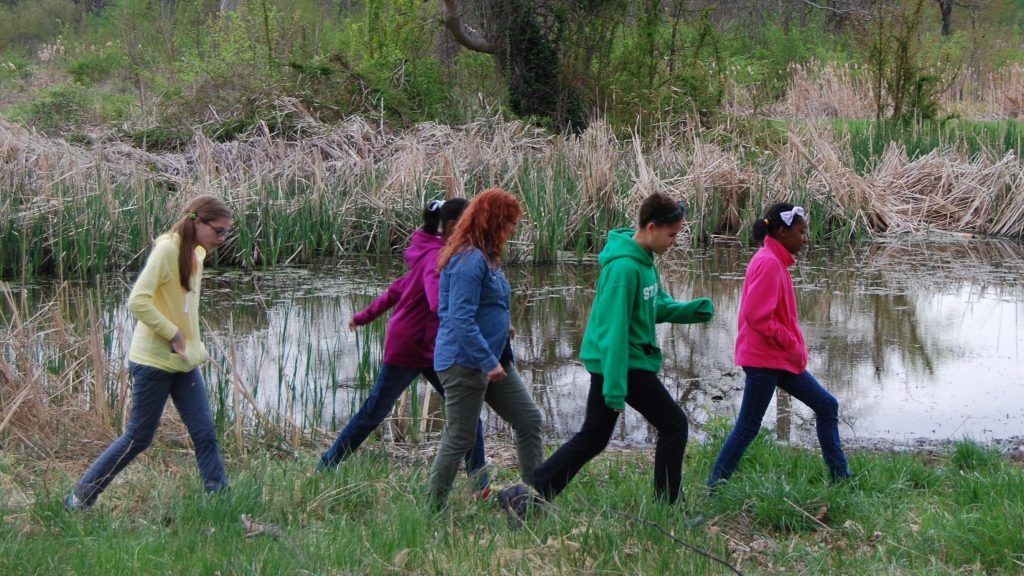 Group of five teens walking in a line in a marsh in front of a swamp.