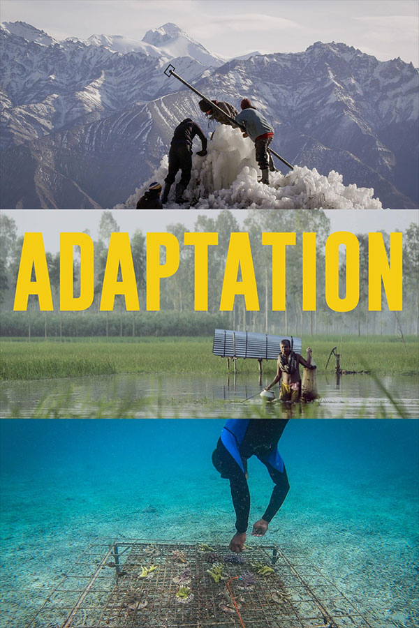 Adaptation