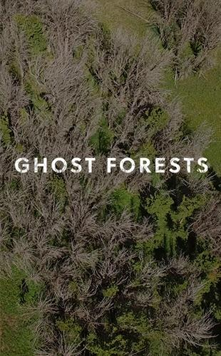 Ghost Forest