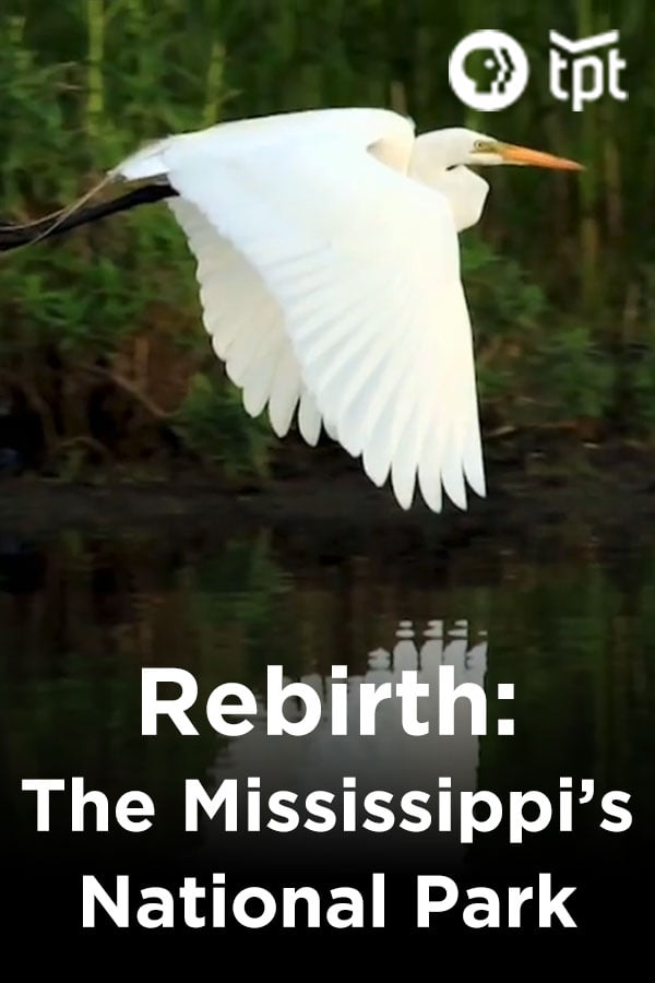 Rebirth: The Mississippi's National Park