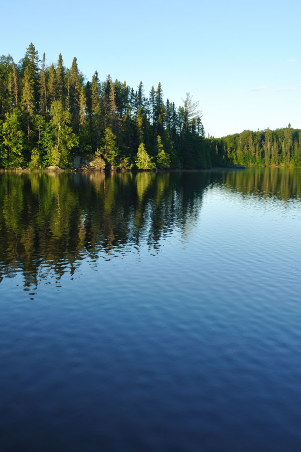 Minnesota Lake shoreline